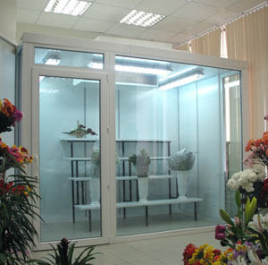 холодильные камеры для цветочной продукции
